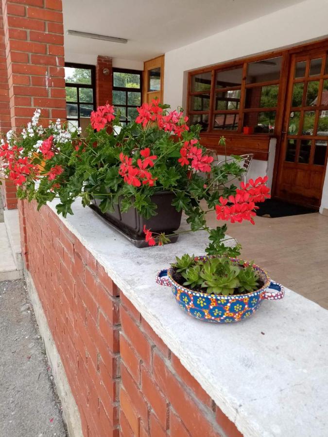 Apartman Dunja I Milos モクラ・ゴラ エクステリア 写真