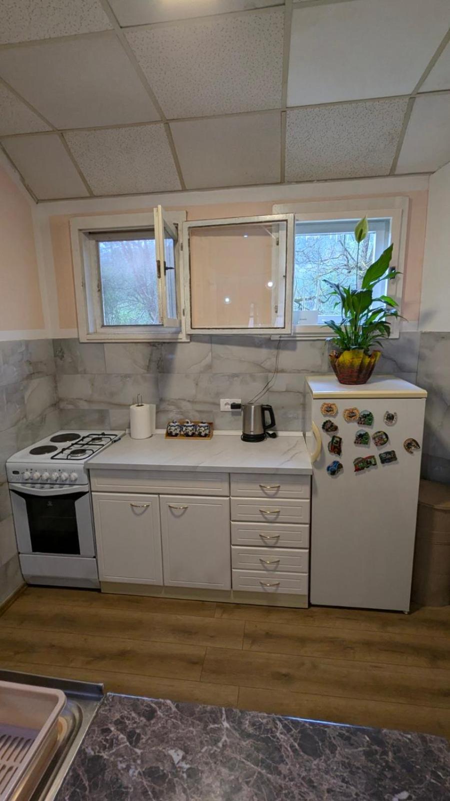 Apartman Dunja I Milos モクラ・ゴラ エクステリア 写真